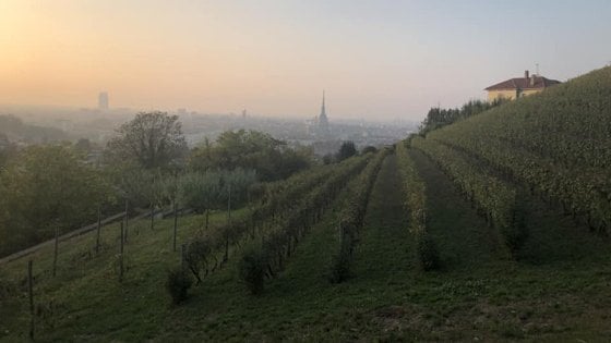 &nbsp;Torino vista dal vigneto (curato da Cantina Balbiano) di Villa della Regina, una delle residenze sabaude patrimonio Unesco&nbsp;