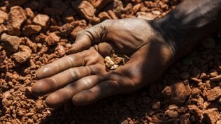 La caccia all'oro del Sudafrica, i segreti del mate e la barca di San Giacomo: ecco il nuovo Fuoricampo