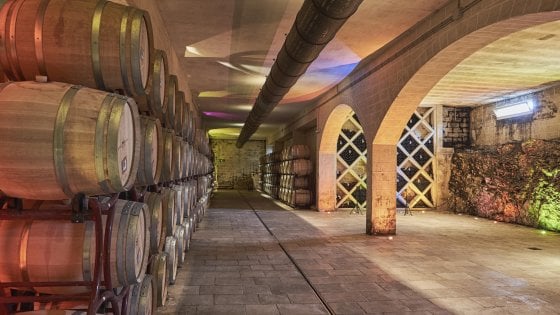&nbsp;L'antica barricaia del Castello Monaci