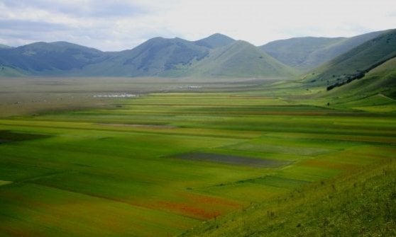 &nbsp;La valle di Castelluccio di Norcia, dove fioriscono le lenticchie