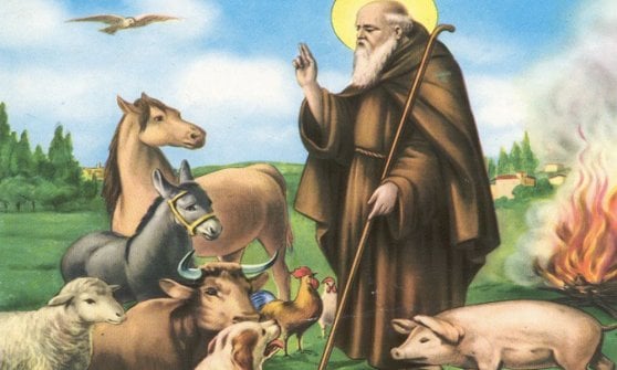 &nbsp;Sant'Antonio Abate