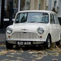 Mini Morris