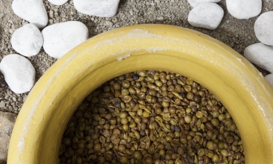 &nbsp;La Quartara, ovvero l'anfora, di Lunarossa Vini