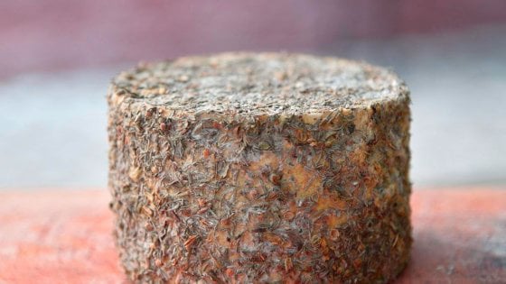 &nbsp;Conciato di San Vittore, raro formaggio laziale