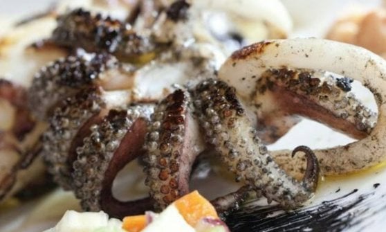 Cucina di pesce al ristorante Da Luciano, Passignano sul Trasimeno
