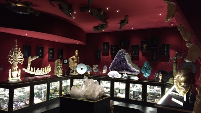 'Wunderkammer - Le stanze della meraviglia': splendori e misteri delle collezioni d'Europa <a href="https://puntoitalia.online/dossier/spettacoli/arte-al-cinema/2019/02/28/foto/wunderkammer_-_le_stanze_della_meraviglia-220380761/1/" class="Articolo"><strong>&bull; foto</strong></a>
