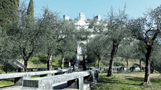 &nbsp;Gli olivi del Vittoriale