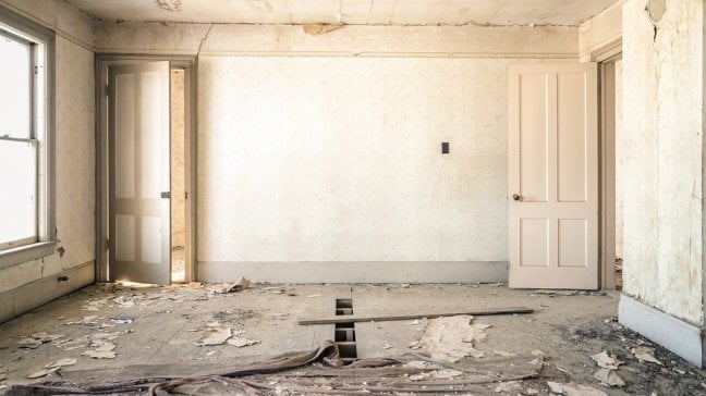 Ristrutturazioni, mobili, ecobonus, bonus verde<br />Le spese per la casa che tagliano le tasse