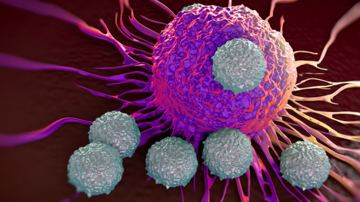 Immuno oncologia Con La Medicina Di Precisione Si Pu Cronicizzare Il 