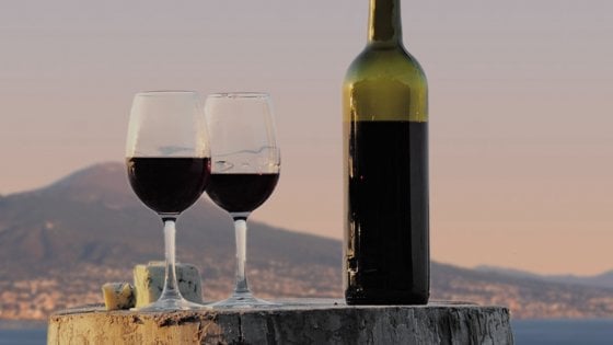 Vitigni di tutta Italia, unitevi: a Napoli il vino si racconta a 360°