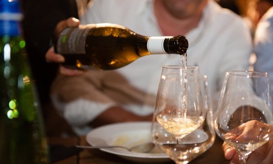 &nbsp;Un totale di 520 cantine, italiane e straniere