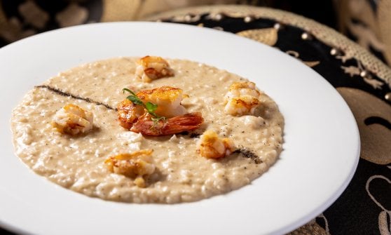 Risotto cacio e pepe con gamberi scottati