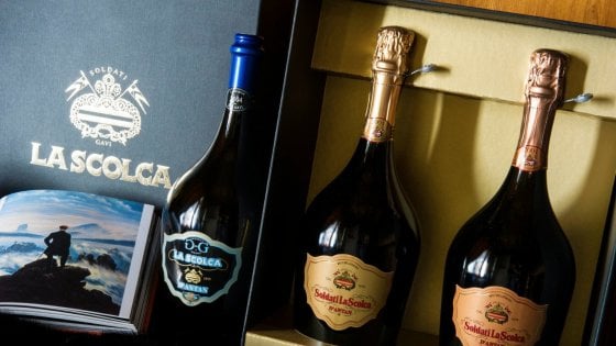 La Scolca: un vitigno rinato, un secolo di vita e la sfida della modernità