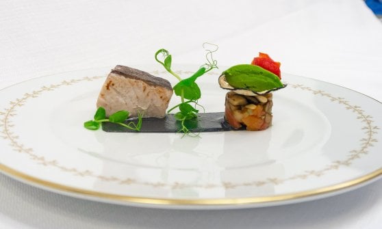 "Regina del Mediterraneo", ricciola su salsa di melanzana bruciata, caponatina e sorbetto al basilico