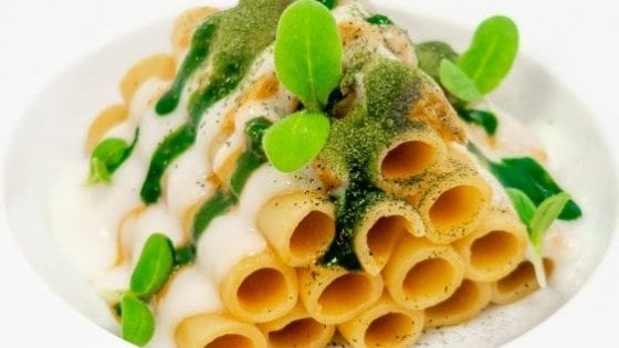 Candele spezzate con infuso di cicoria, canocchie e burrata affumicata