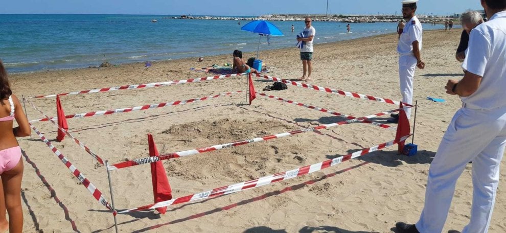 Pesaro, il nido di Luciana presidiato dai volontari