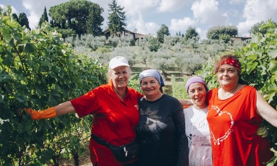 Da sinistra, Serena Fabrizi,Cinzia La Rosta, Ascenzina Zomparelli e Sara Ruffo, vendemmiatrici della Cantina Imperatori