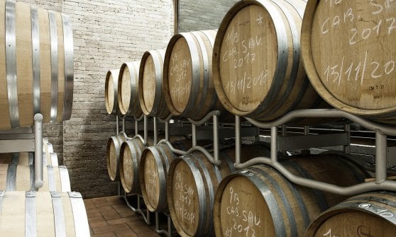 Le barriques con i vini della Cantina Imperatori