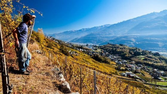 Panorama di Valtellina visto dalla propriet&agrave; della cantina Pizzo Coca
