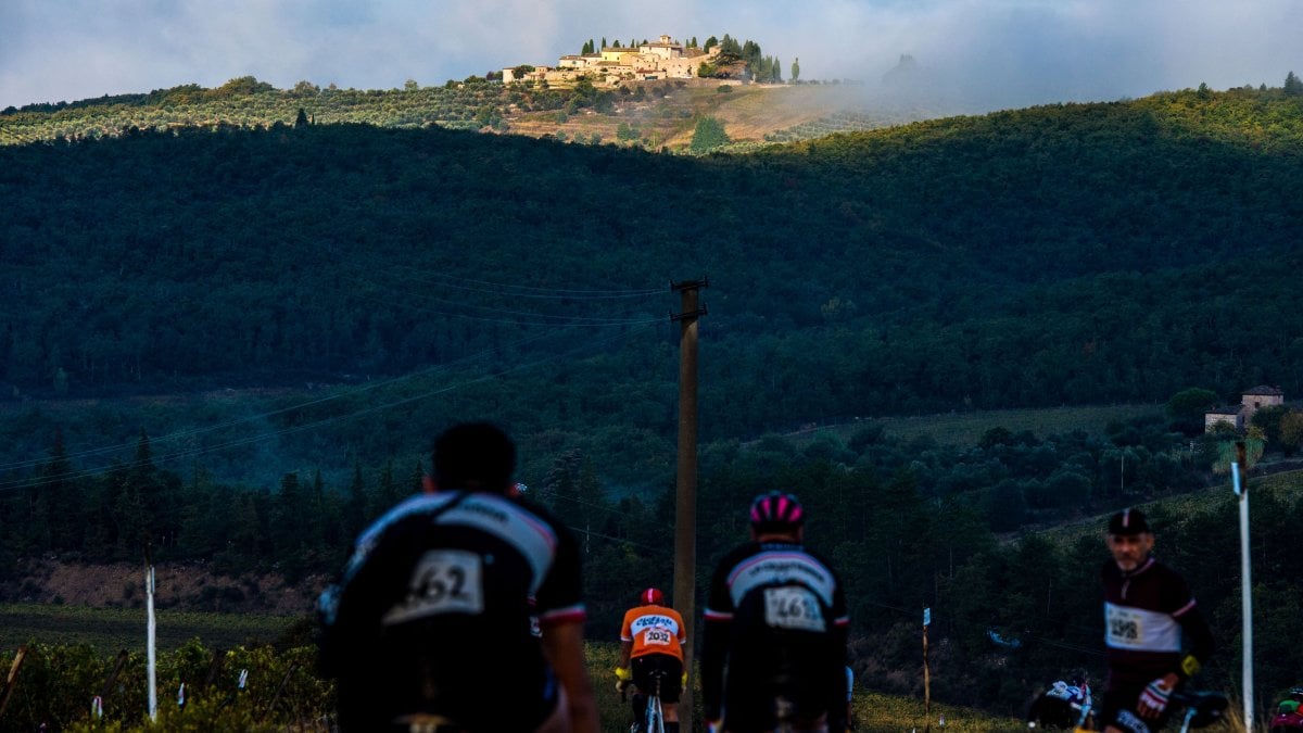 Ottomila sulle strade bianche dell'Eroica con un'emozione in più: Norma  Gimondi pedala \