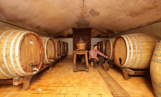 Giovanni Battista Columbu in cantina