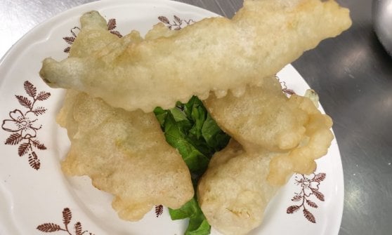 Fiori zucca fritti ripieni di mozzarella e alici