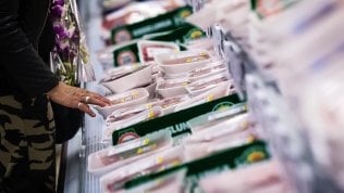 "Troppe plastiche nella plastica, cos&igrave; non la ricicleremo mai"