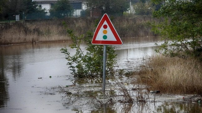Il 41% dei corsi d'acqua in "cattivo stato ecologico"