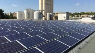 Pannelli solari e taglio della CO2: la ricetta green di Heineken