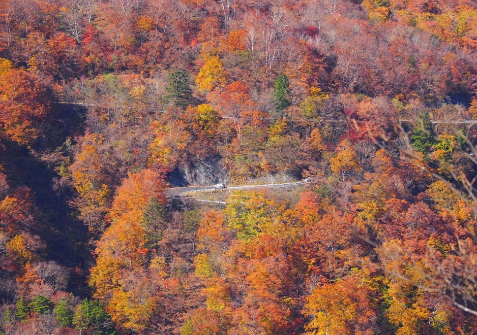La magia dell'autunno e del foliage in Giappone, lo spettacolo naturale ...