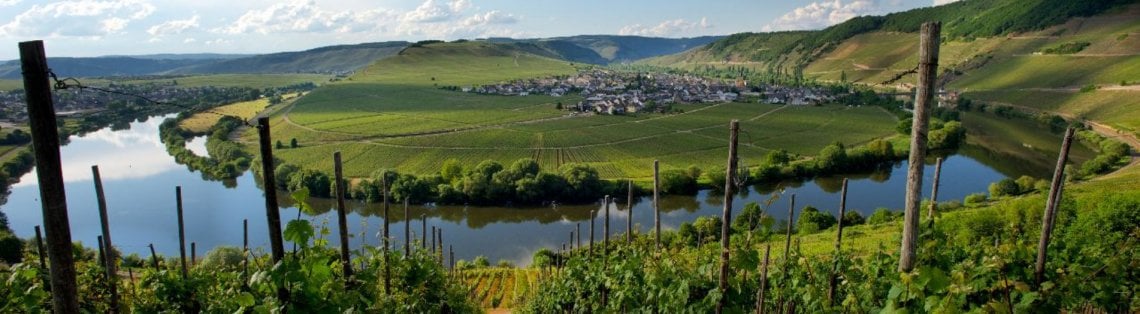 Dr Fischer - Mosel - Hofst&auml;tter 