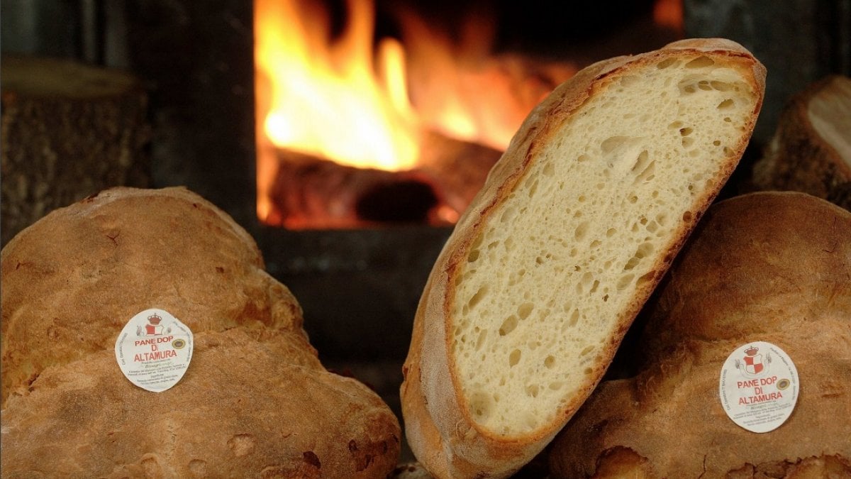 Altamura, la città del pane: ecco i forni dove la lievitazione è un'arte -  la Repubblica