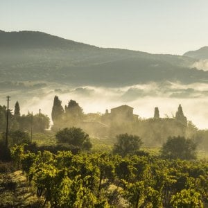 Uno scatto d'autore di Montalcino di Guido Cozzi