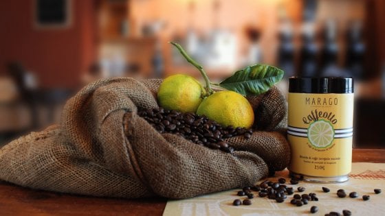Caffeotto, il caffè al bergamotto: in tazzina i profumi della Calabria