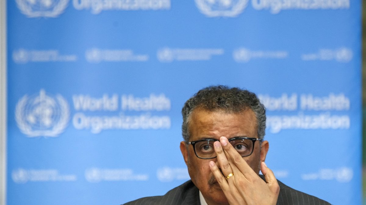 organizzazione mondiale della sanità in inglese