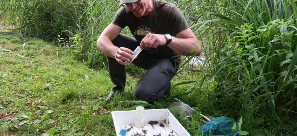 Vondelpark, Amsterdam (Taxon Expeditions)