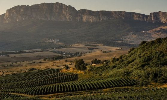 Tenuta Ficuzza, Piana degli Albanesi