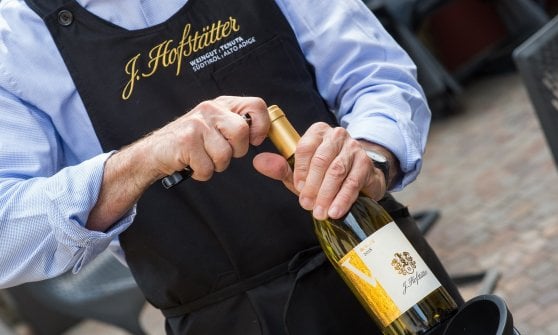 Martin Foradori cantine Hofst&auml;tter