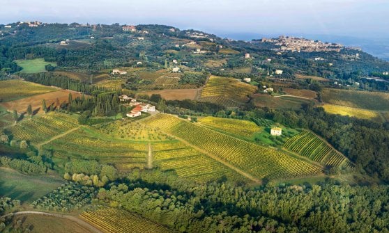 Tenuta "Greppo" a Montalcino