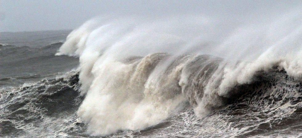 Animali, quella fuga verso il freddo