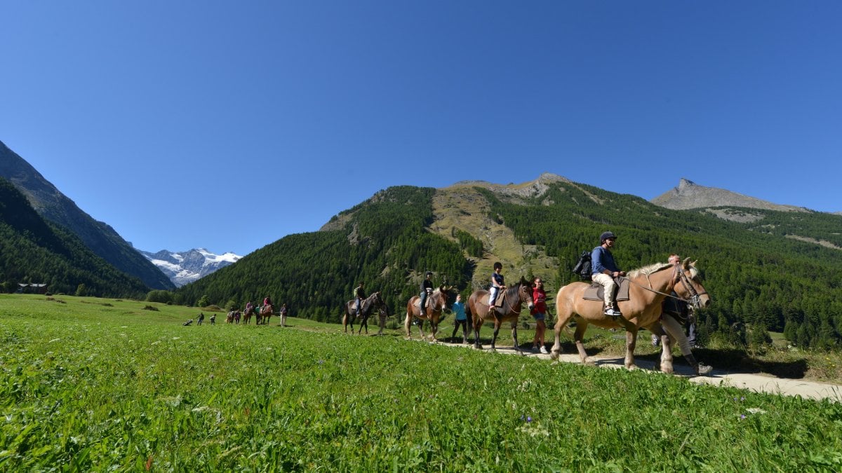 Ora O Entro Un Anno Da Cogne Alla Val D Aosta Idee Per Una Vacanza 