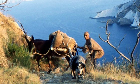 Mulattiera (foto da Ponza Racconta)