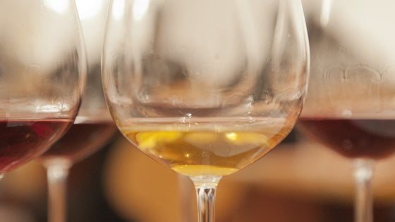 Il vino ritorna dal vivo: a Paestum i calici di Campania Stories