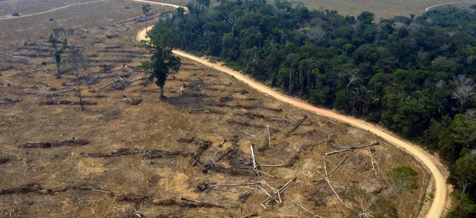 Deforestazione in Amazzonia