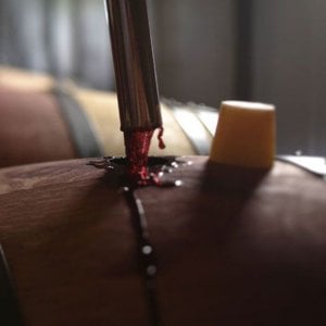 Una prova di botte nella cantina di Ornellaia dei Marchesi de' Frescobaldi