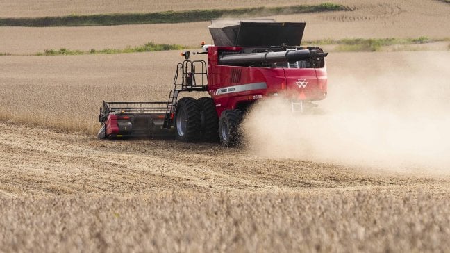 <a href="https://puntoitalia.online/dossier/economia/italia-un-paese-al-lavoro/2020/09/21/news/italia_un_paese_al_lavoro_l_agroalimentare_riparte_ma_serve_una_scossa-267741114/" class="Articolo">Tra nuovi consumi e cucina handmade, il settore del buon cibo riparte. Ma ora serve una scossa </a><em class="author">di DAVIDE BANFO</em>