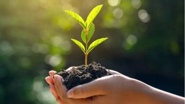Missione sostenibilità per il comparto agrifood