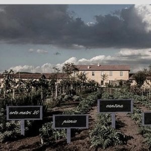 Una veduta della tenuta di Fiorano vista dalla parte gestita dagli Antinori