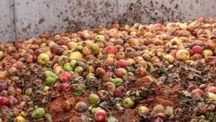 Spreco alimentare, l’Italia migliora nel post lockdown