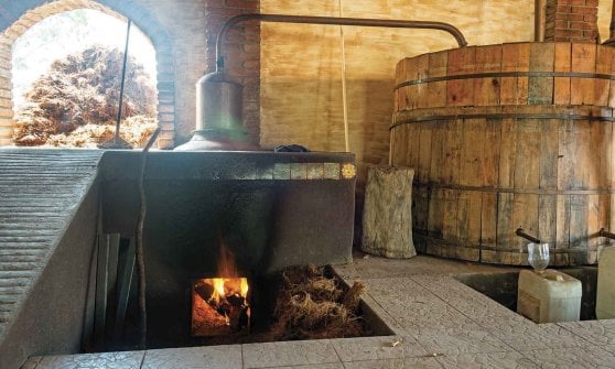Una distilleria di Mezcal